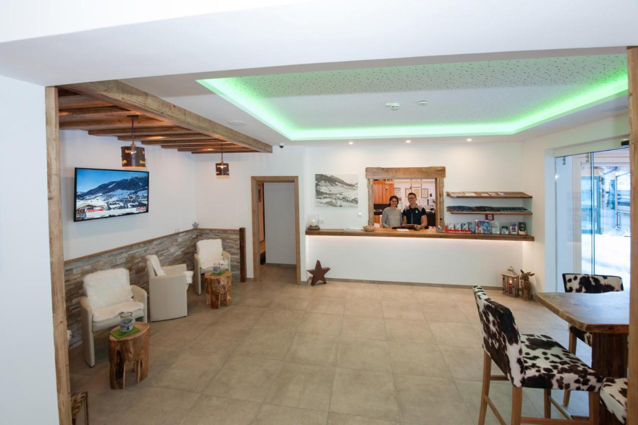 Appartements Alpin ザールバッハ・ヒンターグレム エクステリア 写真