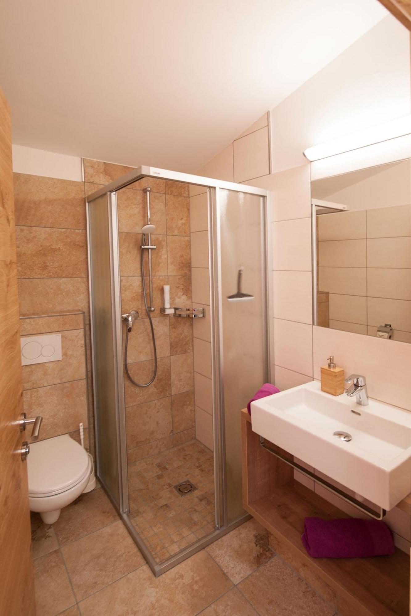 Appartements Alpin ザールバッハ・ヒンターグレム エクステリア 写真